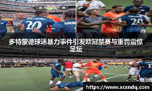 多特蒙德球迷暴力事件引发欧冠禁赛与重罚震惊足坛